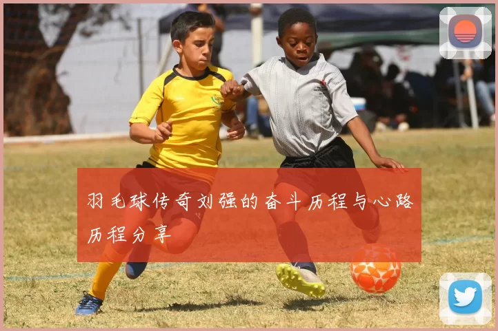 羽毛球传奇刘强的奋斗历程与心路历程分享