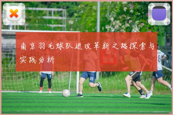 南京羽毛球队进攻革新之路探索与实践分析