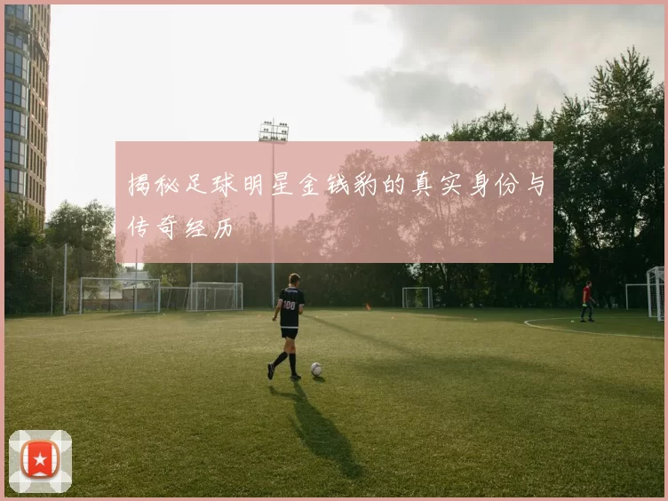 揭秘足球明星金钱豹的真实身份与传奇经历