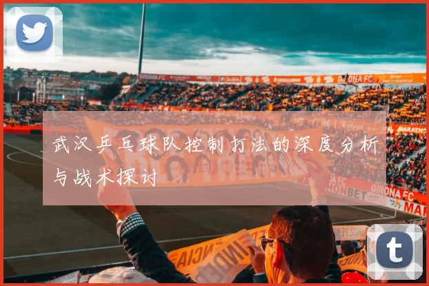 武汉乒乓球队控制打法的深度分析与战术探讨