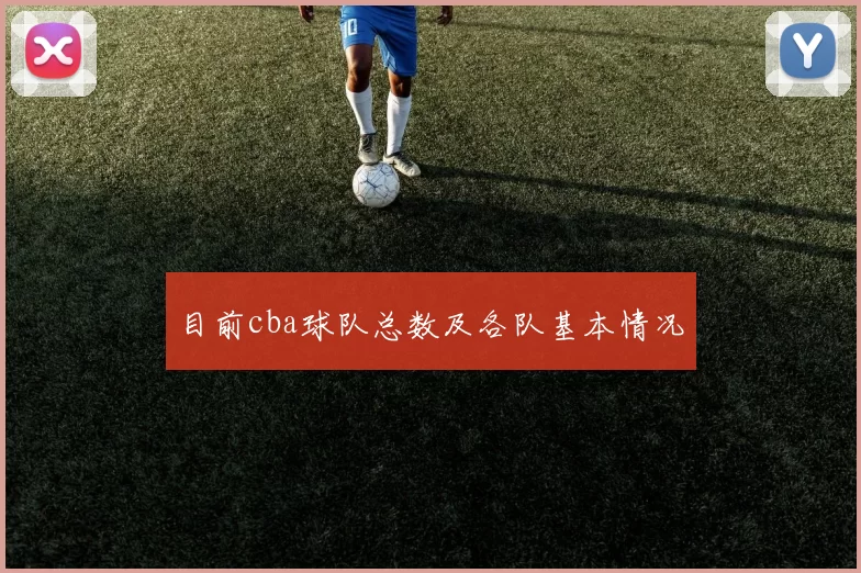 目前cba球队总数及各队基本情况
