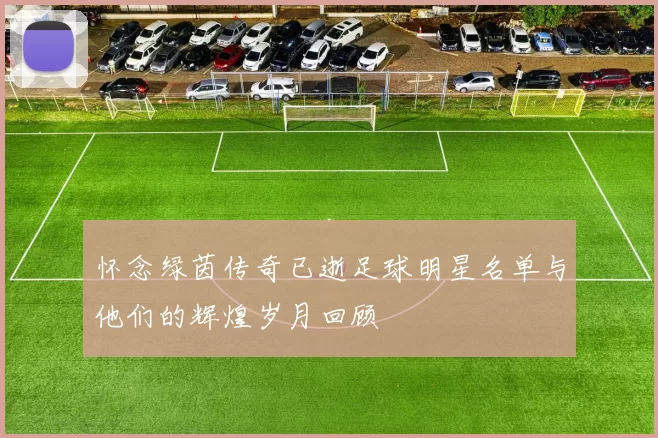 怀念绿茵传奇已逝足球明星名单与他们的辉煌岁月回顾