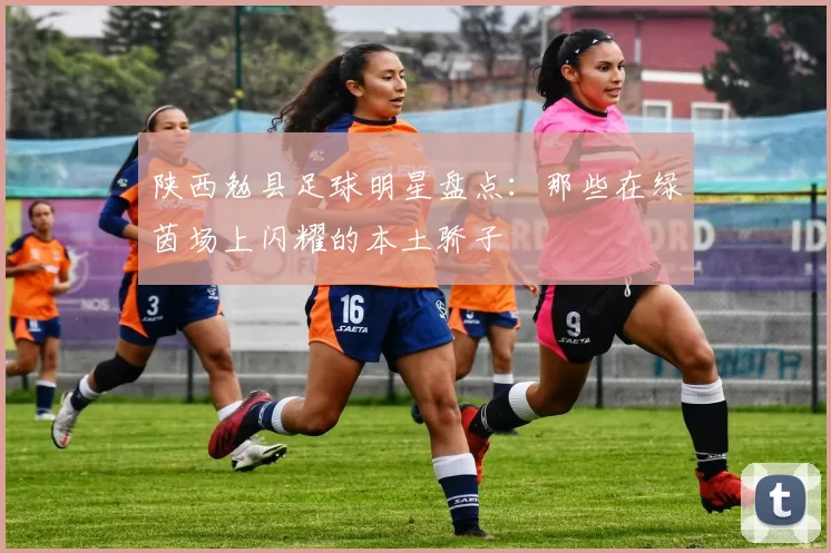 陕西勉县足球明星盘点：那些在绿茵场上闪耀的本土骄子