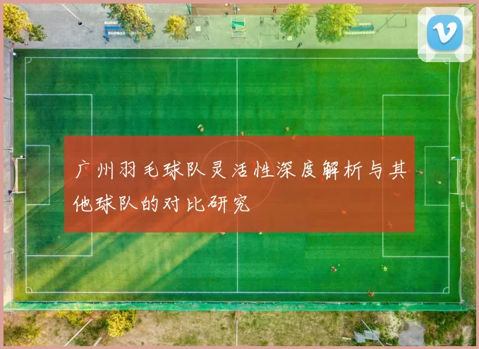 广州羽毛球队灵活性深度解析与其他球队的对比研究