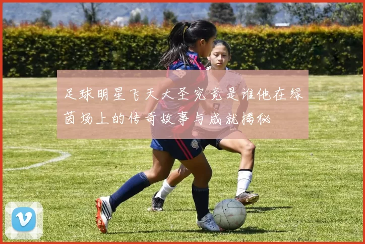 足球明星飞天大圣究竟是谁他在绿茵场上的传奇故事与成就揭秘
