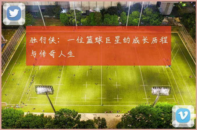独行侠：一位篮球巨星的成长历程与传奇人生