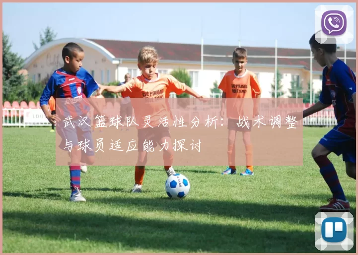 武汉篮球队灵活性分析：战术调整与球员适应能力探讨