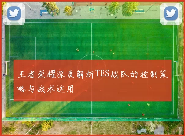 王者荣耀深度解析TES战队的控制策略与战术运用