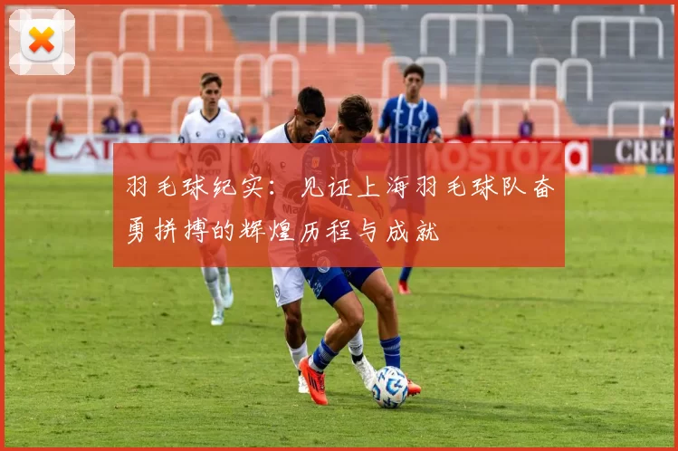 羽毛球纪实：见证上海羽毛球队奋勇拼搏的辉煌历程与成就