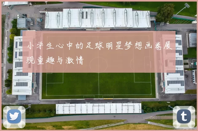 小学生心中的足球明星梦想画卷展现童趣与激情