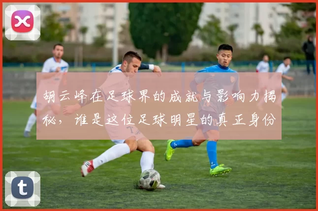 胡云峰在足球界的成就与影响力揭秘，谁是这位足球明星的真正身份