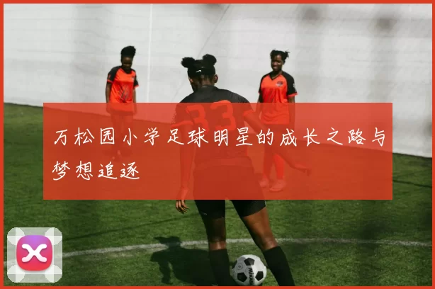万松园小学足球明星的成长之路与梦想追逐