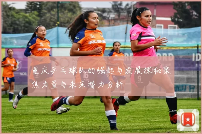 重庆乒乓球队的崛起与发展探秘聚焦力量与未来潜力分析