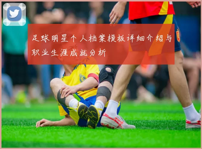 足球明星个人档案模板详细介绍与职业生涯成就分析