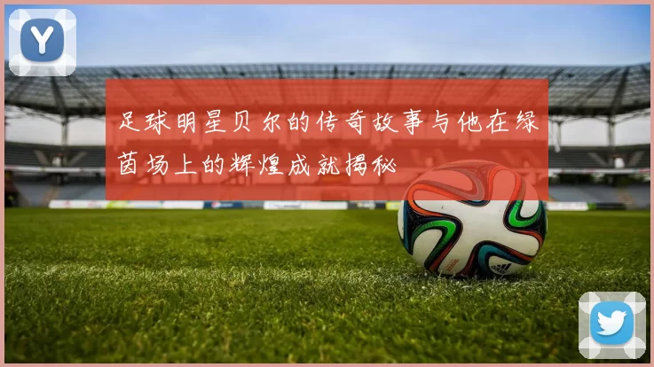 足球明星贝尔的传奇故事与他在绿茵场上的辉煌成就揭秘