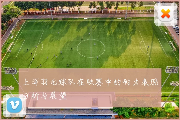 上海羽毛球队在联赛中的耐力表现分析与展望