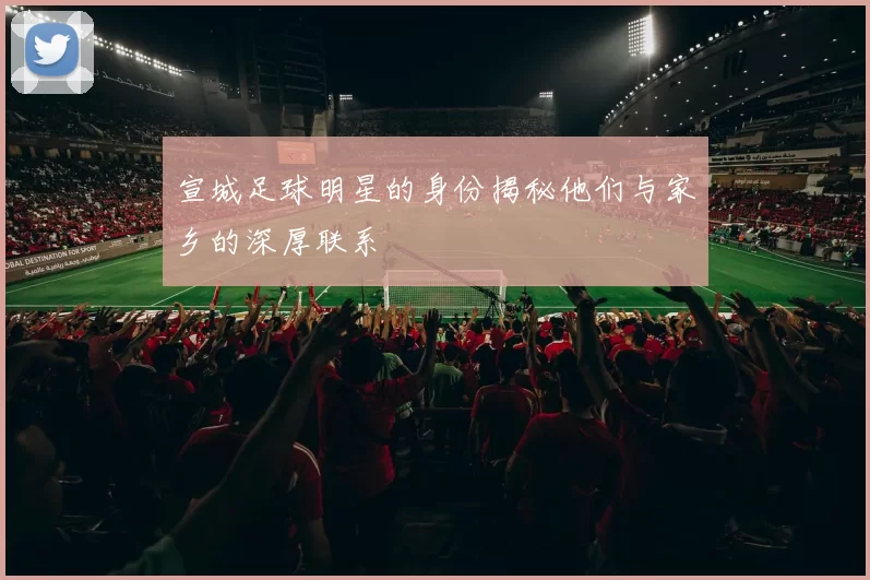 宣城足球明星的身份揭秘他们与家乡的深厚联系