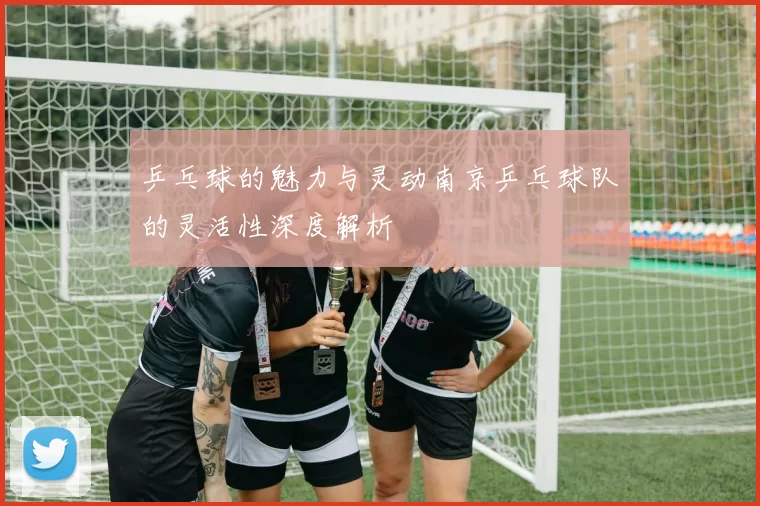 乒乓球的魅力与灵动南京乒乓球队的灵活性深度解析