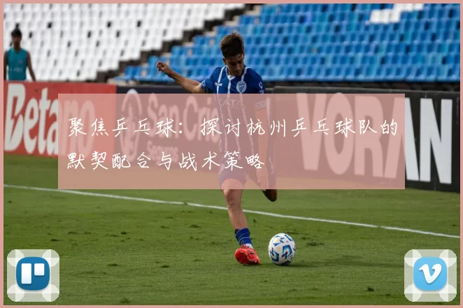 聚焦乒乓球：探讨杭州乒乓球队的默契配合与战术策略