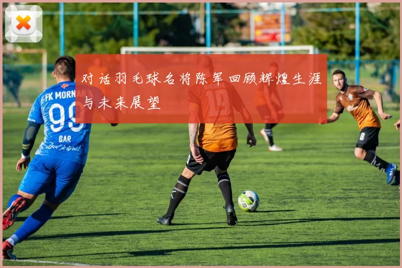 对话羽毛球名将陈军回顾辉煌生涯与未来展望