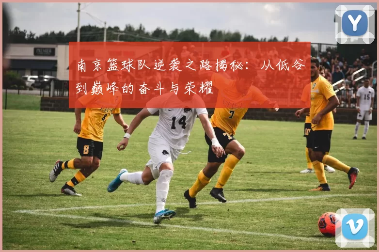 南京篮球队逆袭之路揭秘：从低谷到巅峰的奋斗与荣耀